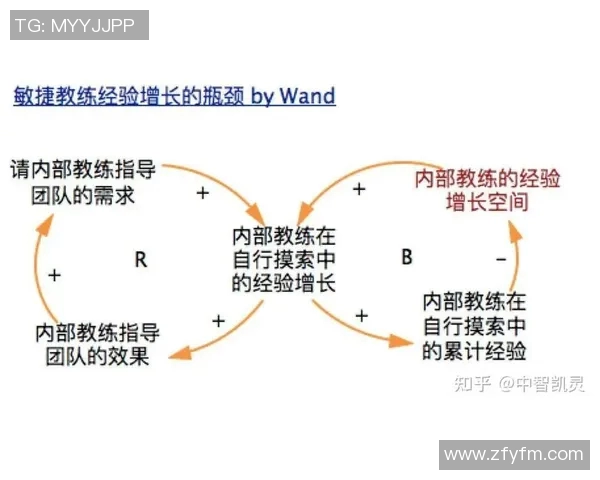 战术革新！新教练如何激活总决赛？